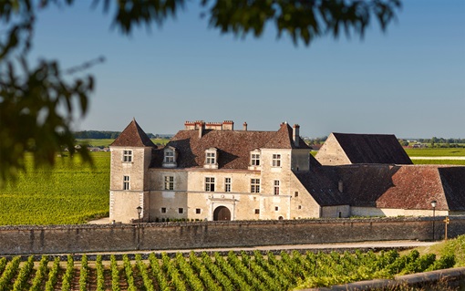 A stone chateau stands amid vineyards under a clear sky, framed by leafy branches.