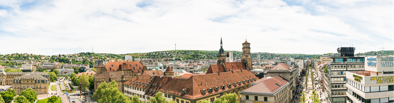 Panoramic view of a bustling cityscape featuring historical buildings under a clear sky.