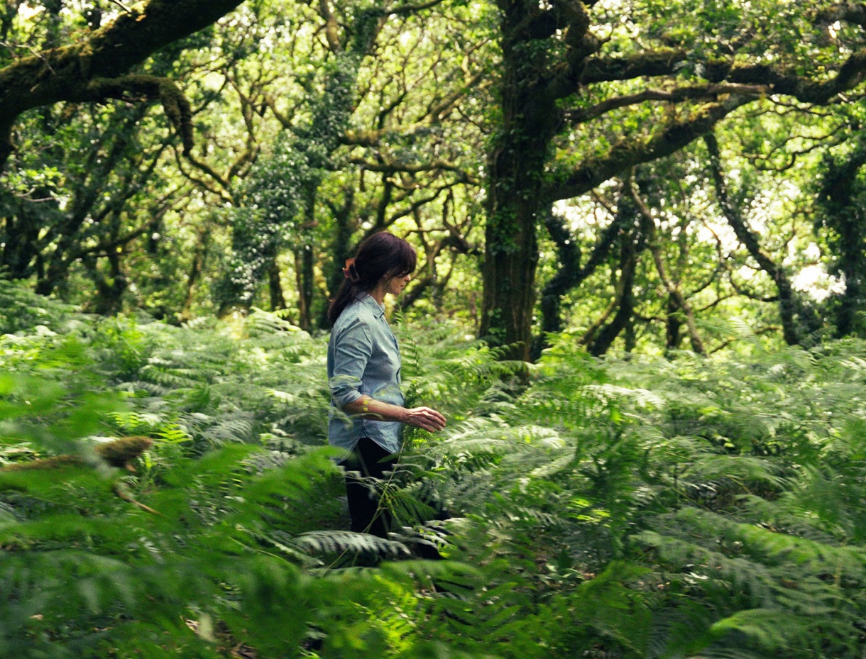 Lost Forests by Natasha Wightman Christie’s