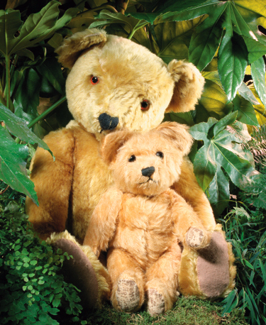 A Steiff 'Save The Children Ted' | Christie's