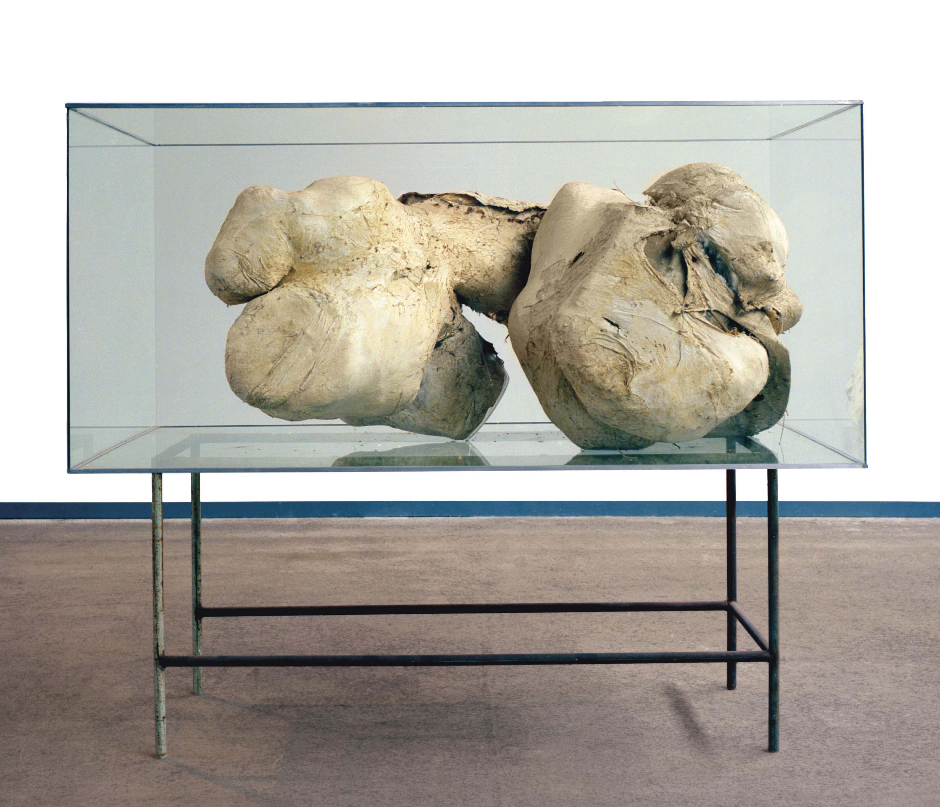 未開封PETER COFFINピーターコフィンIMAGINARYCONCERTS Imaginary Concerts - Anthology