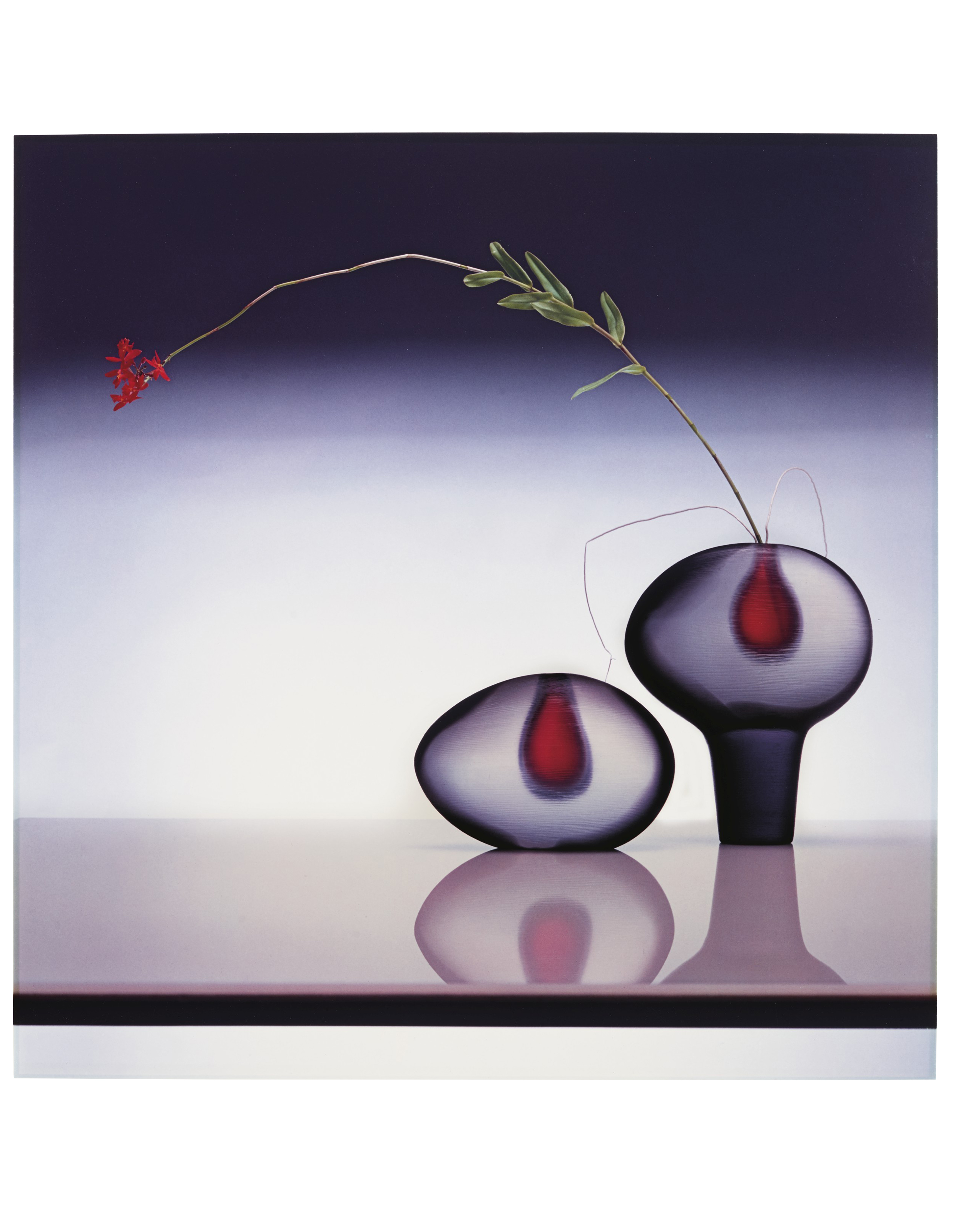 ROBERT MAPPLETHORPE (1946–1989), Lisa Lyon, 1982 | Christie's