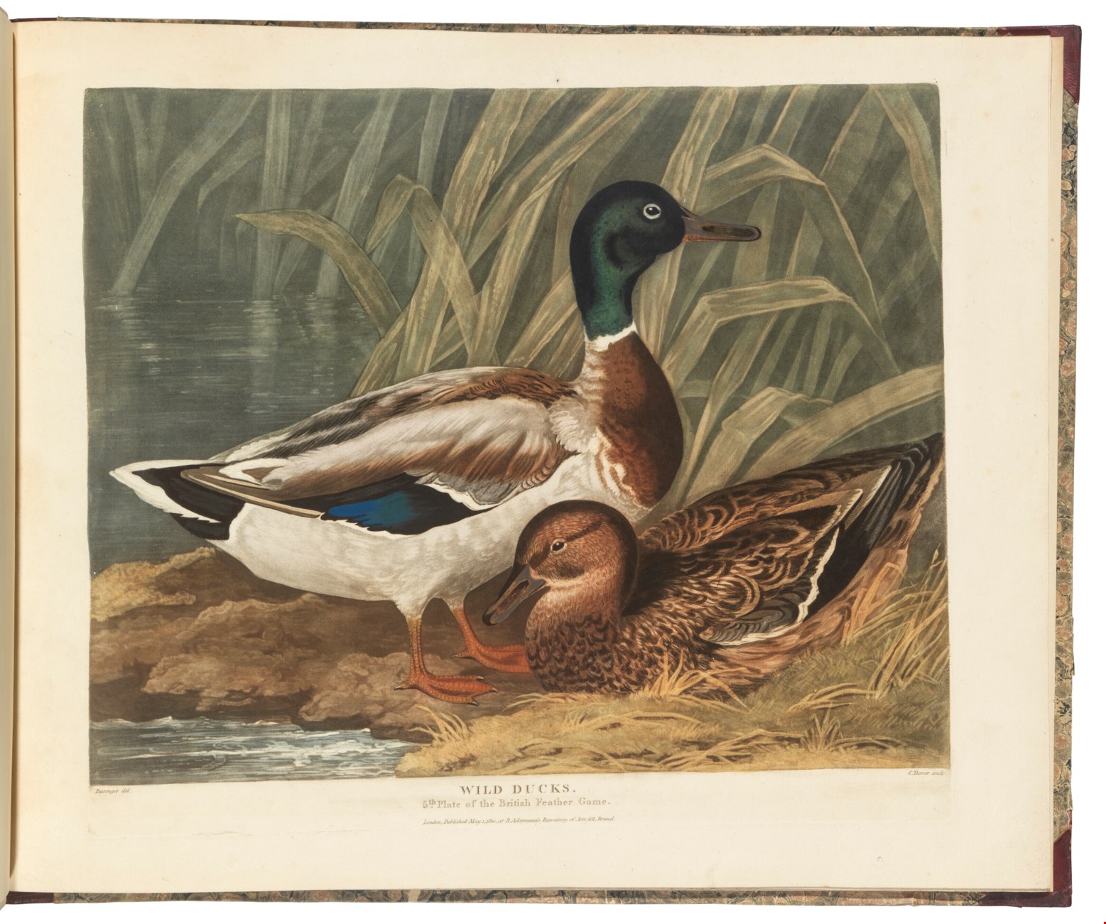 barenger-james-1780-1831-artist-james-sillett-1764-1840-artist