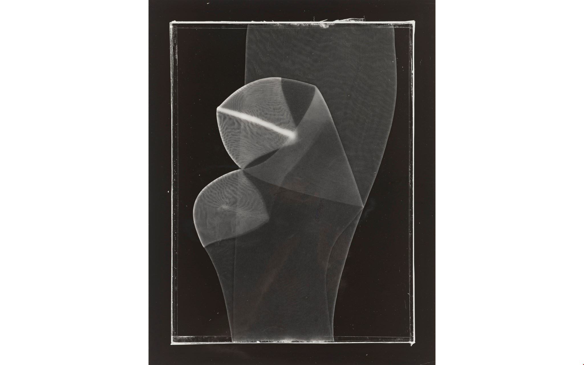 The Vicente Wolf Photography Collection Online