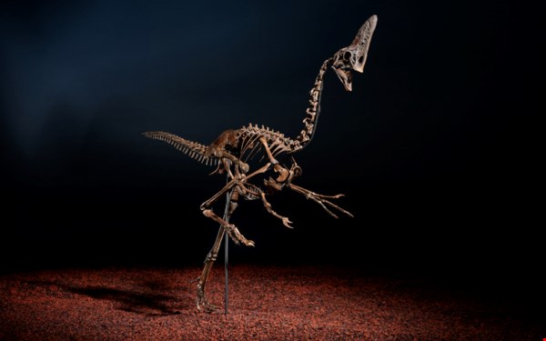 開創者：時代先鋒 auction at Christies