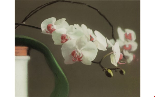 开路先锋：玛丽安·古德曼私人珍藏（第一部分） auction at Christies