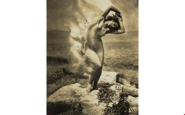 The Vicente Wolf Photography C auction at Christies