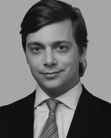 David Kleiweg de Zwaan