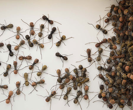 Contemporary Colombian Cool